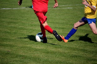 开云体育app注册-国家队与俱乐部之间协调机制为何不顺畅，国家队比赛和俱乐部比赛冲突